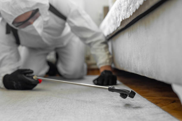 Professional Mosquito Control technician working in Manhasset Hills, NY