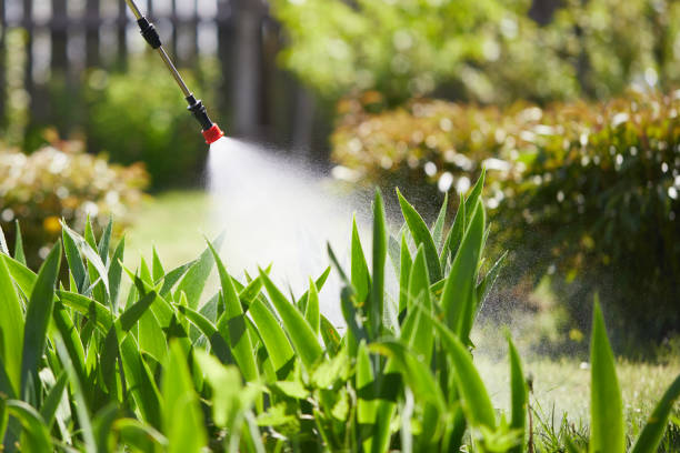 24/7 Emergency Mosquito Control experts in Manhasset Hills, NY