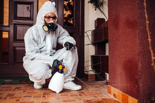 Reliable Mosquito Control contractor in Manhasset Hills, NY by Nex Pest Control